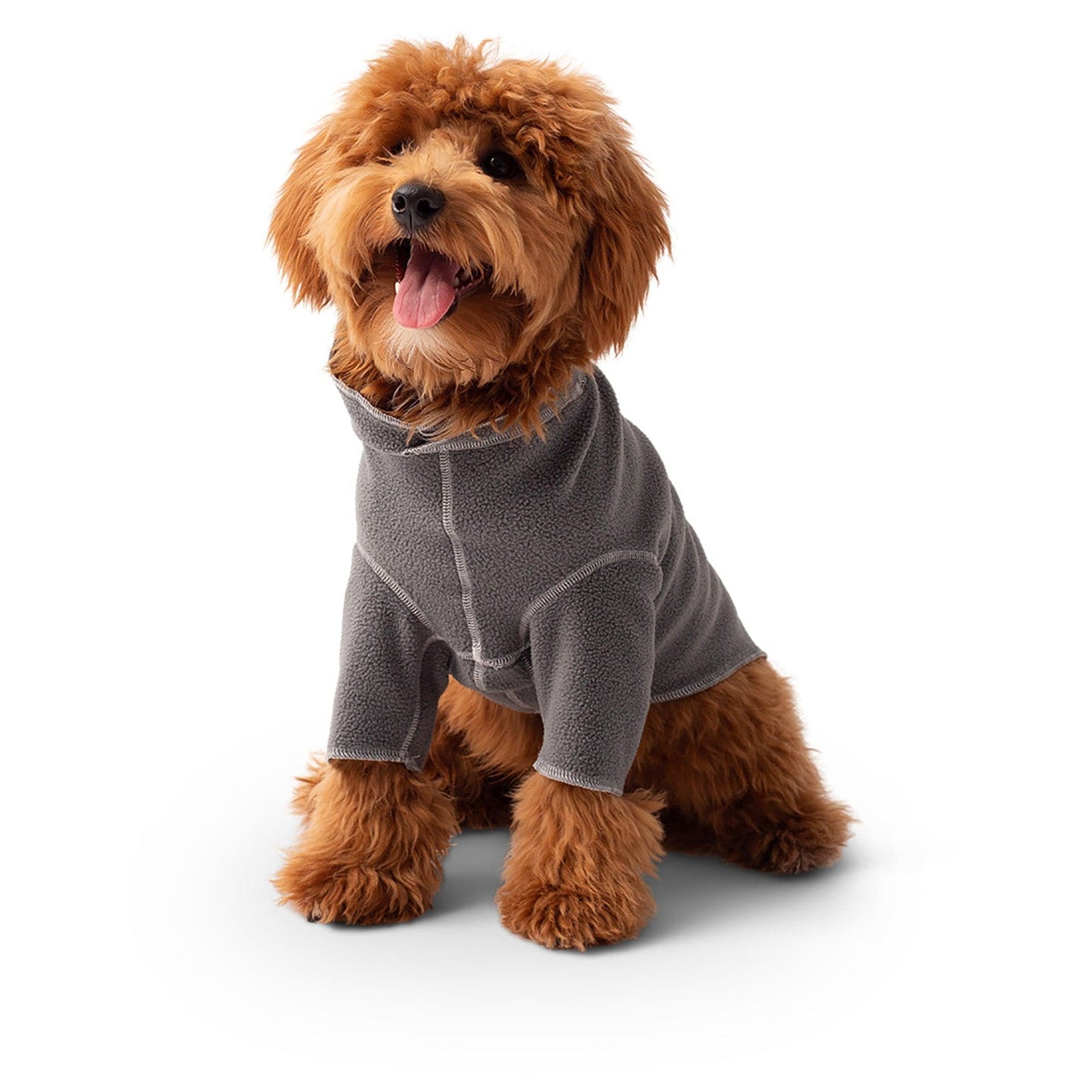 GF Pets Gondola Base Layer - Charcoal