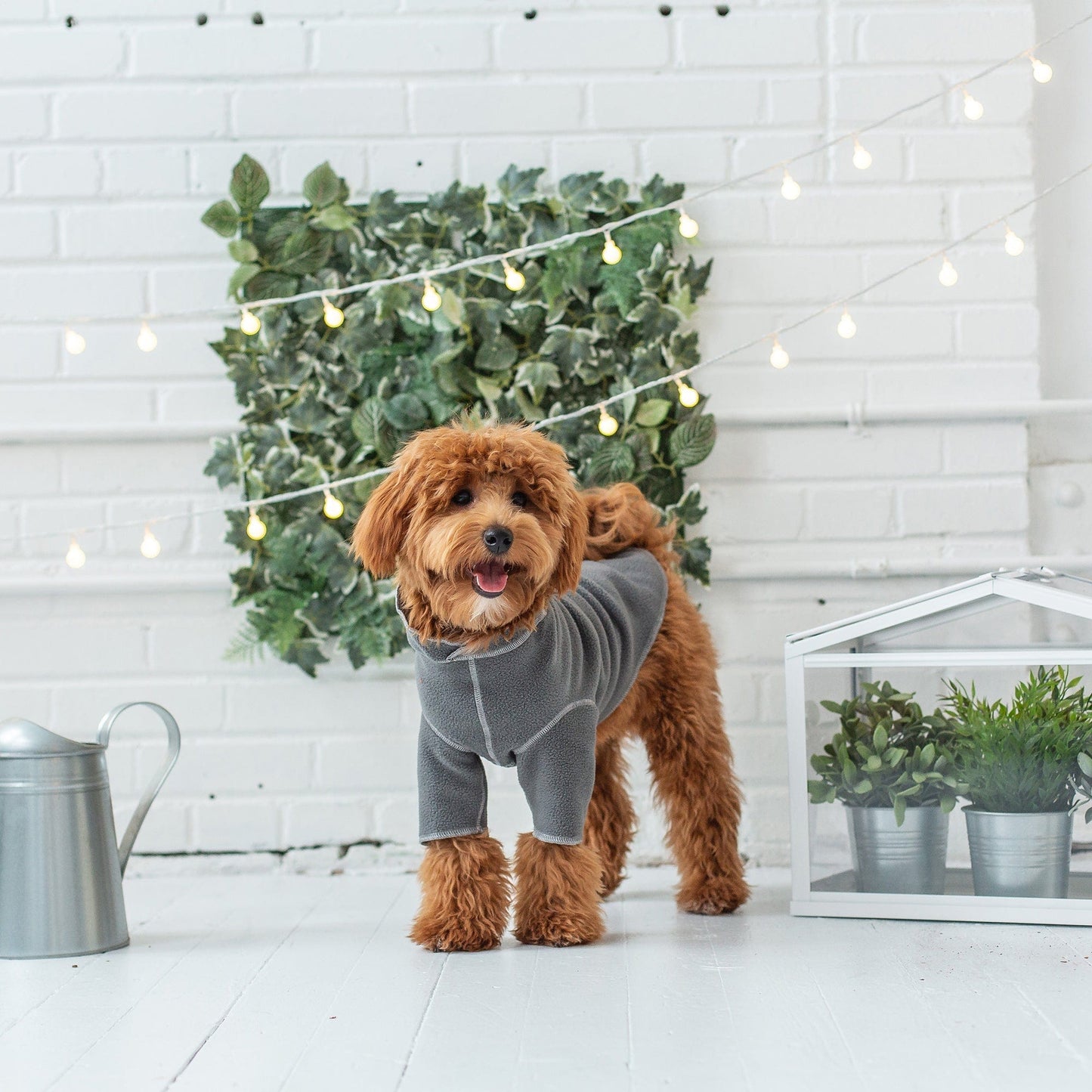 GF Pets Gondola Base Layer - Charcoal