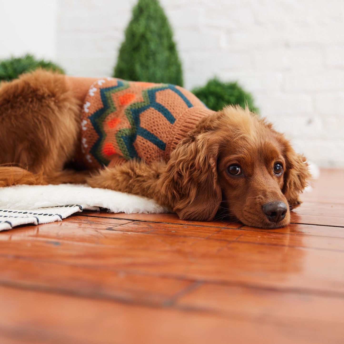 GF Pets Heritage Sweater - Hazel