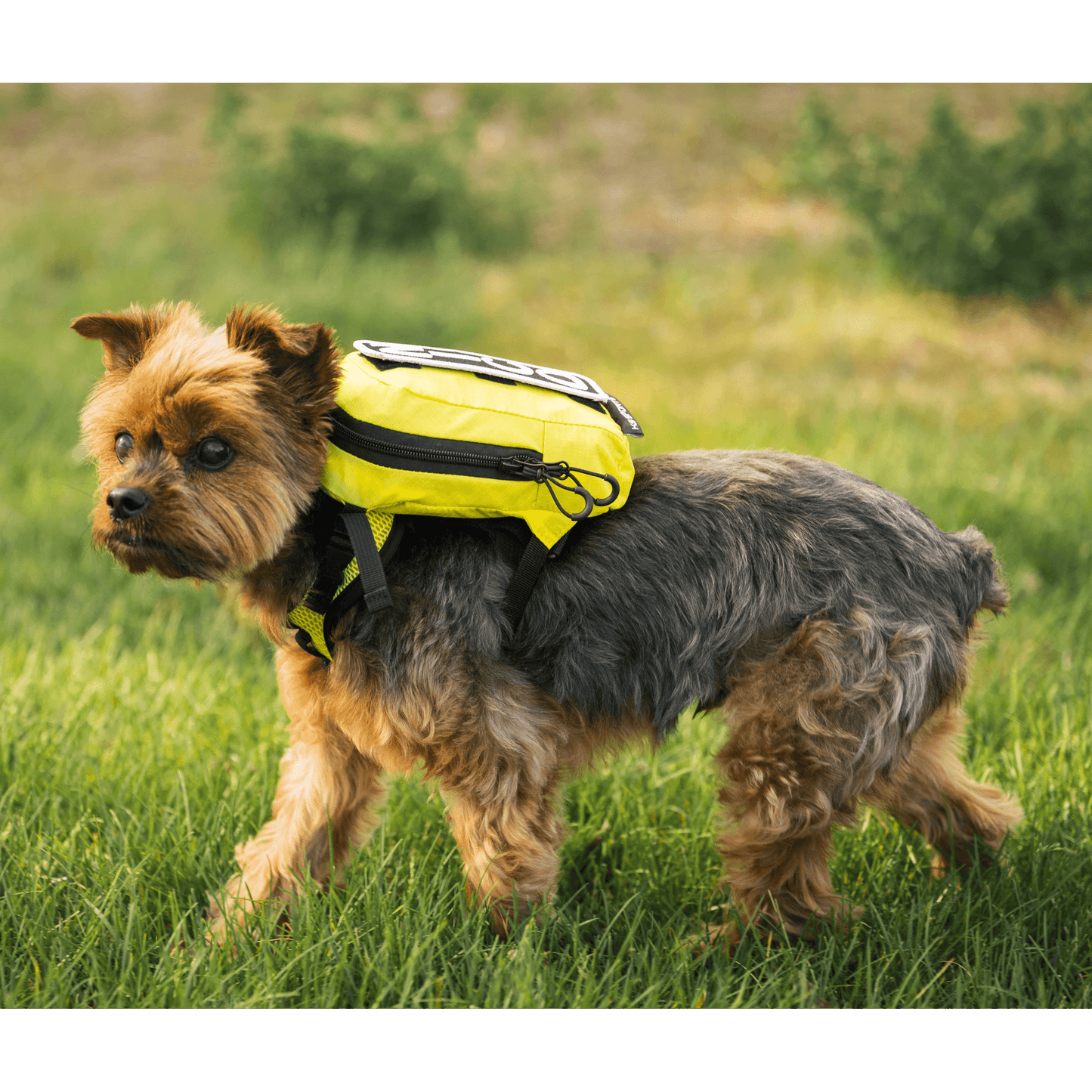 K9 Sport Sack Walk-On with Harness & Storage Yellow