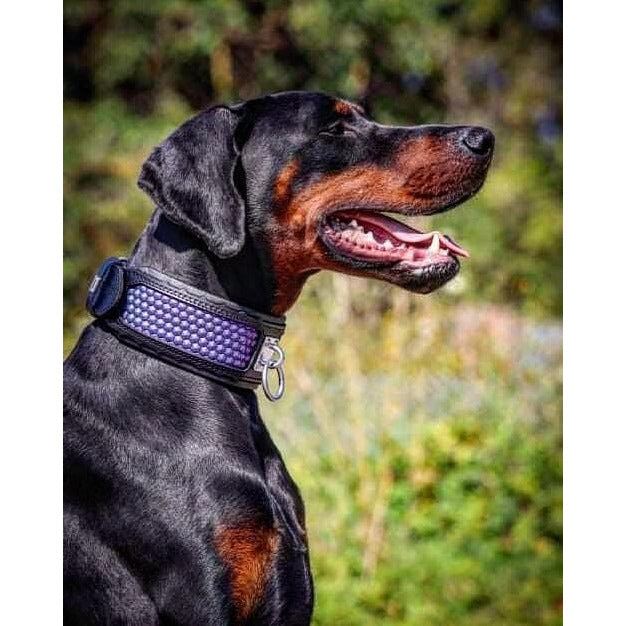Hexagon Collar Limited