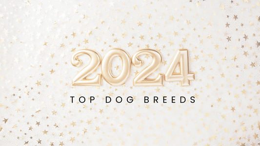 Top 2024 Dog Breeds