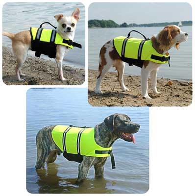 Dog Life Vests