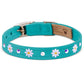 Small Daisy 1/2" Collar