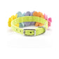 Rainbow Tinkie's Garden Flower Collar