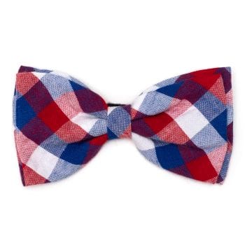 Red/White/Blue Check Bandana