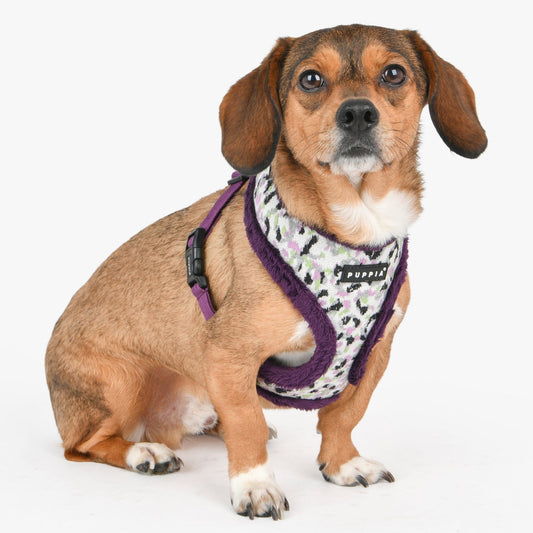 HUXLEY HARNESS A - PURPLE