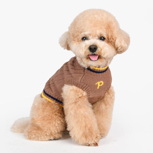 JOISE DOG SWEATER - BROWN