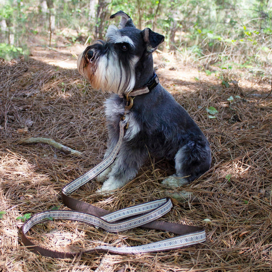 Pendleton® Pet Westerley Leash
