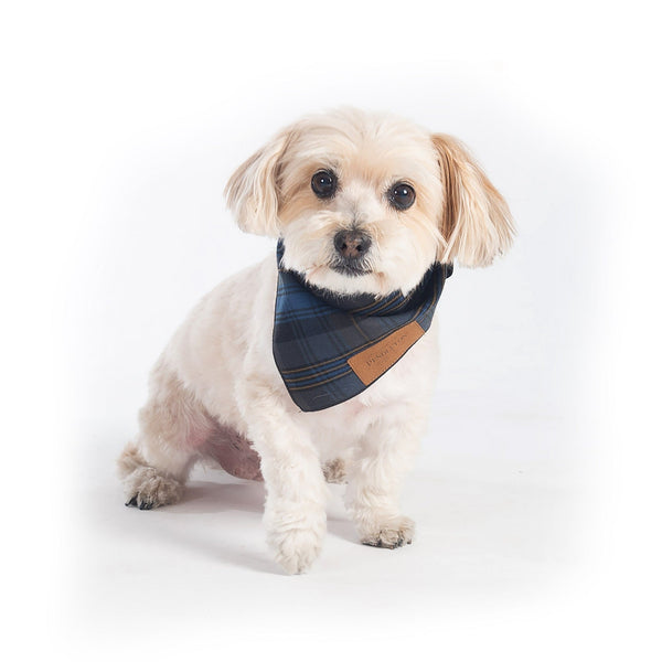 Pendleton Pet Plaid Bandana - Crescent Lake