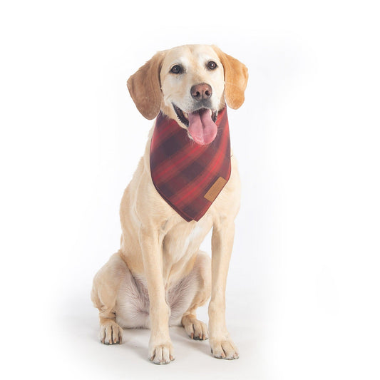 Pendleton Pet Plaid Bandana - Red Ombre