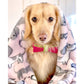 Bow Tie - Candy Swirl