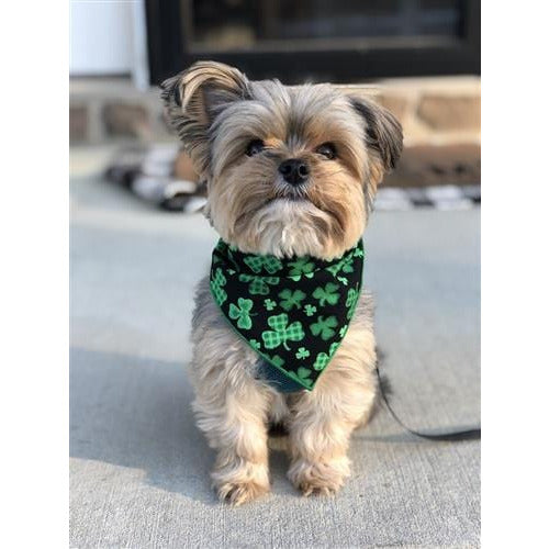 St. Patrick's Day Dog Bandana - Black with Shamrocks