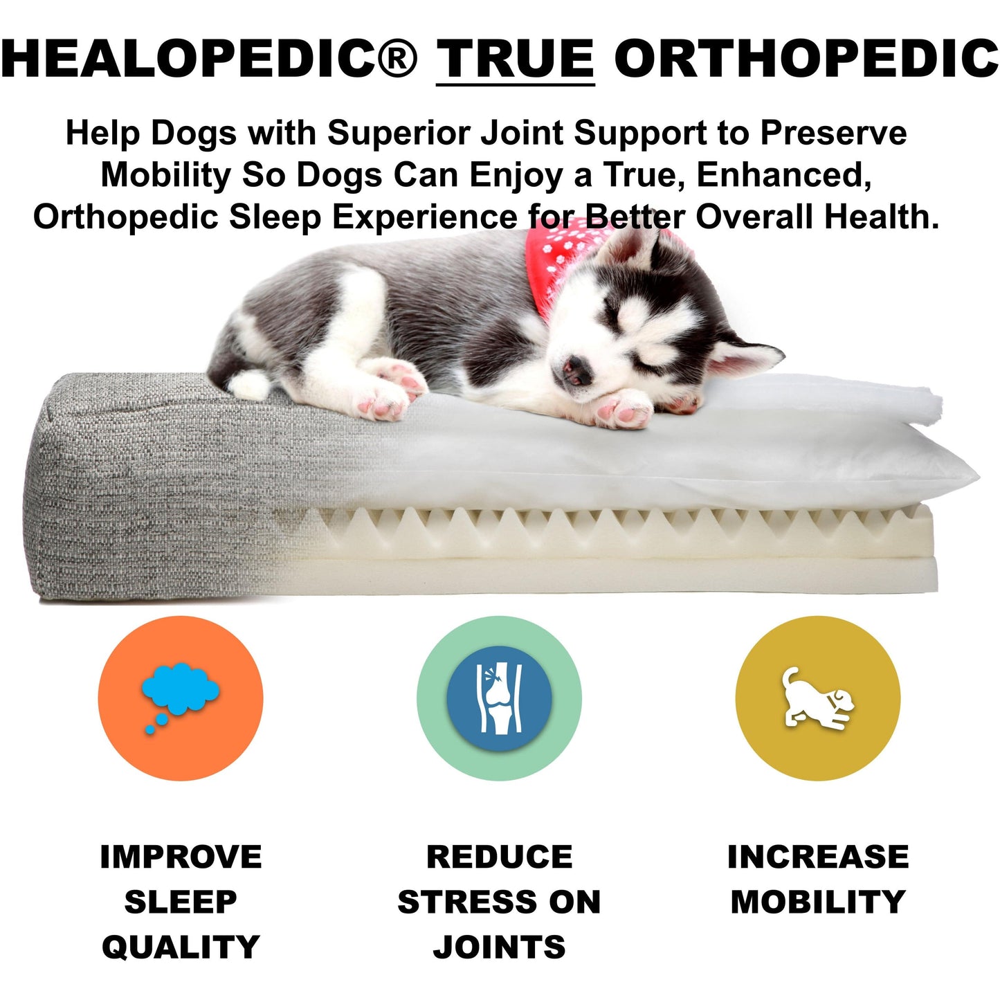 Metro Orthopedic Dog Bed - Tan