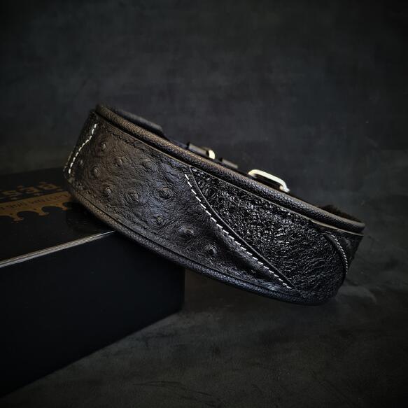 Korona Collar Black Edition