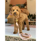 Leash - Bella Rose