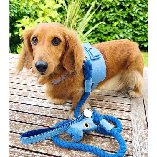 Dog Harness - Ocean Vibes