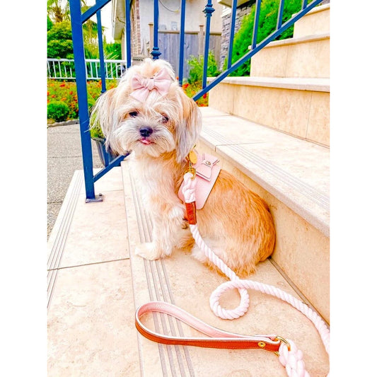 Dog Harness - Bella Rose