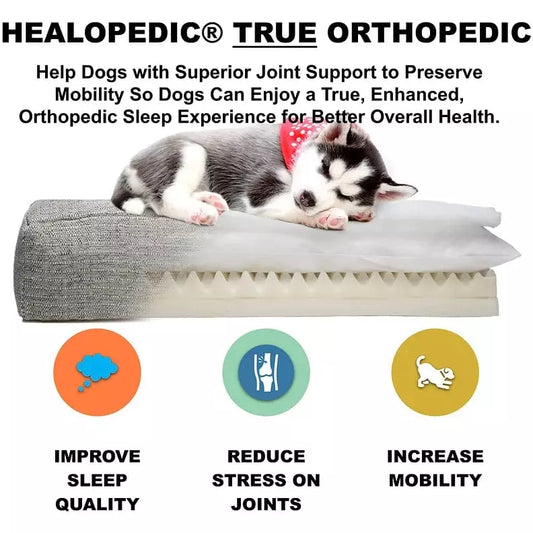 Rivoli Orthopedic Dog Bed  - Pink
