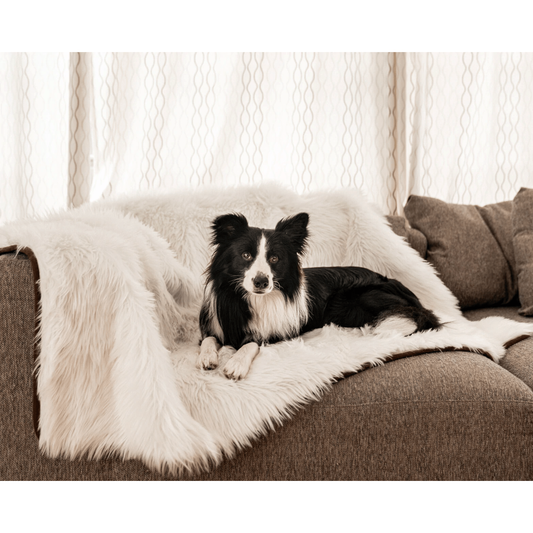 PupProtector™ Waterproof Throw Blanket - Polar White