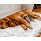 PupRug™ Faux Fur Orthopedic Dog Bed - Rectangle White