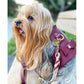 Dog Harness - Luscious Bow
