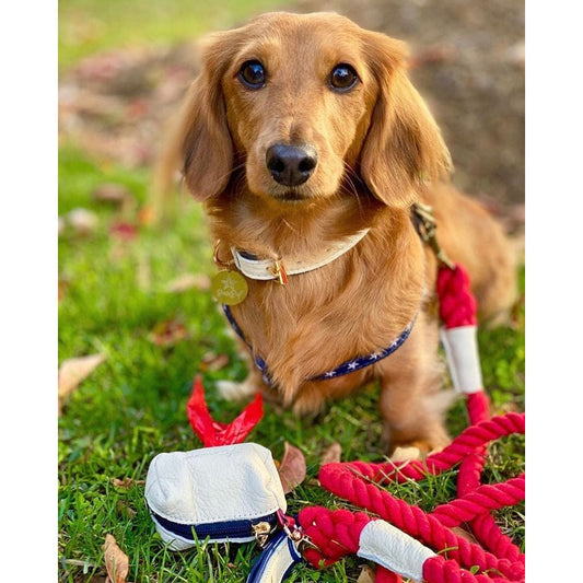 Waste Bag Holder - Hot Marine