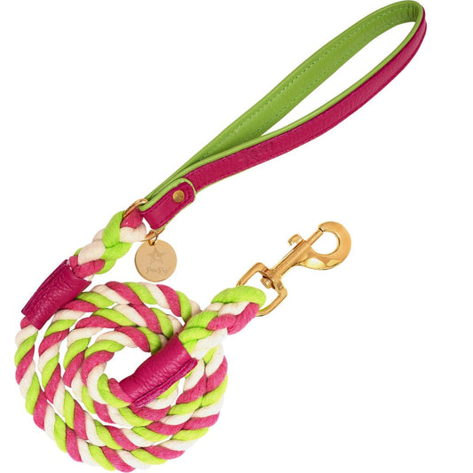 Leash - Candy Swirl