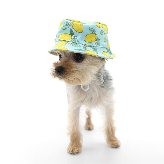 Lemon Blue Bucket Dog Hat
