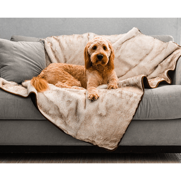 PupProtector™ Cool Comfort Waterproof Throw Blanket - White with Brown Accents