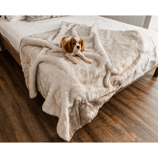 PupProtector™ Cool Comfort Waterproof Throw Blanket - White with Brown Accents
