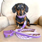 Waste Bag Holder - Lavish Lavender