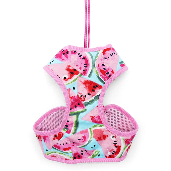 EasyGO Watermelon Harness and Leash