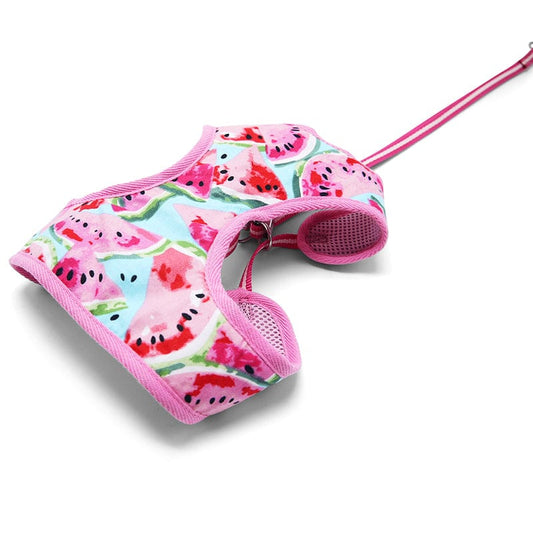 EasyGO Watermelon Harness and Leash