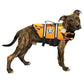 Dog Life Jacket - The Paws Aboard Dog Life Vest - Flames