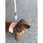 Dog Harness - Bella Rose
