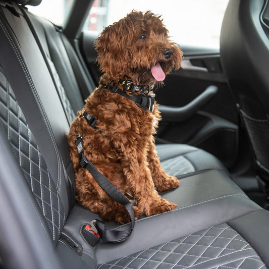 GF Pets Pet Seat Belt Tether