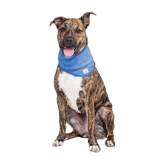 GF Pets ICE BAND - Dog Cooling Bandana