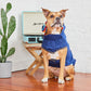 GF Pet - Reversible Elasto-Fit Raincoat - Navy/Navy