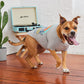GF Pets Graphic Tee - Grey