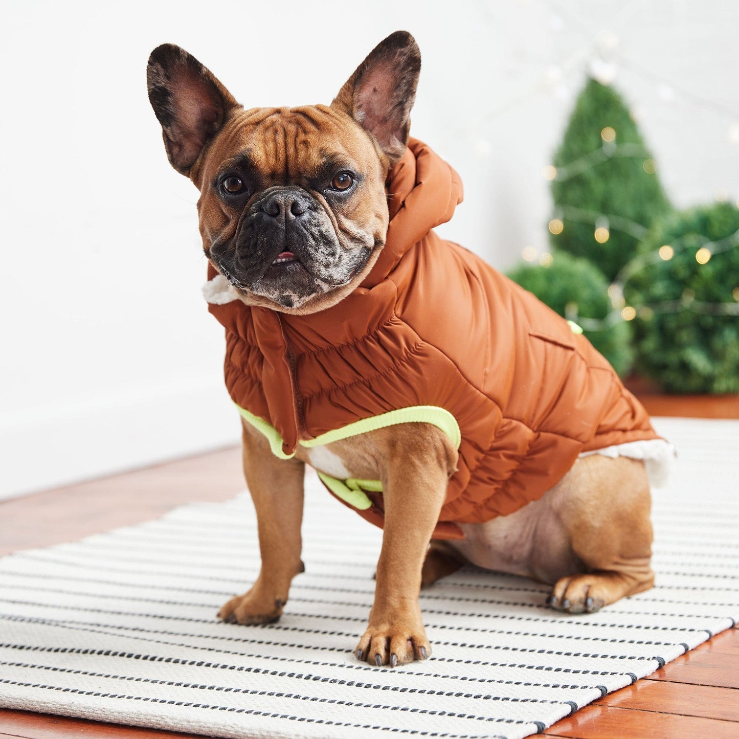 GF Pet - Super Puff Parka - Hazel