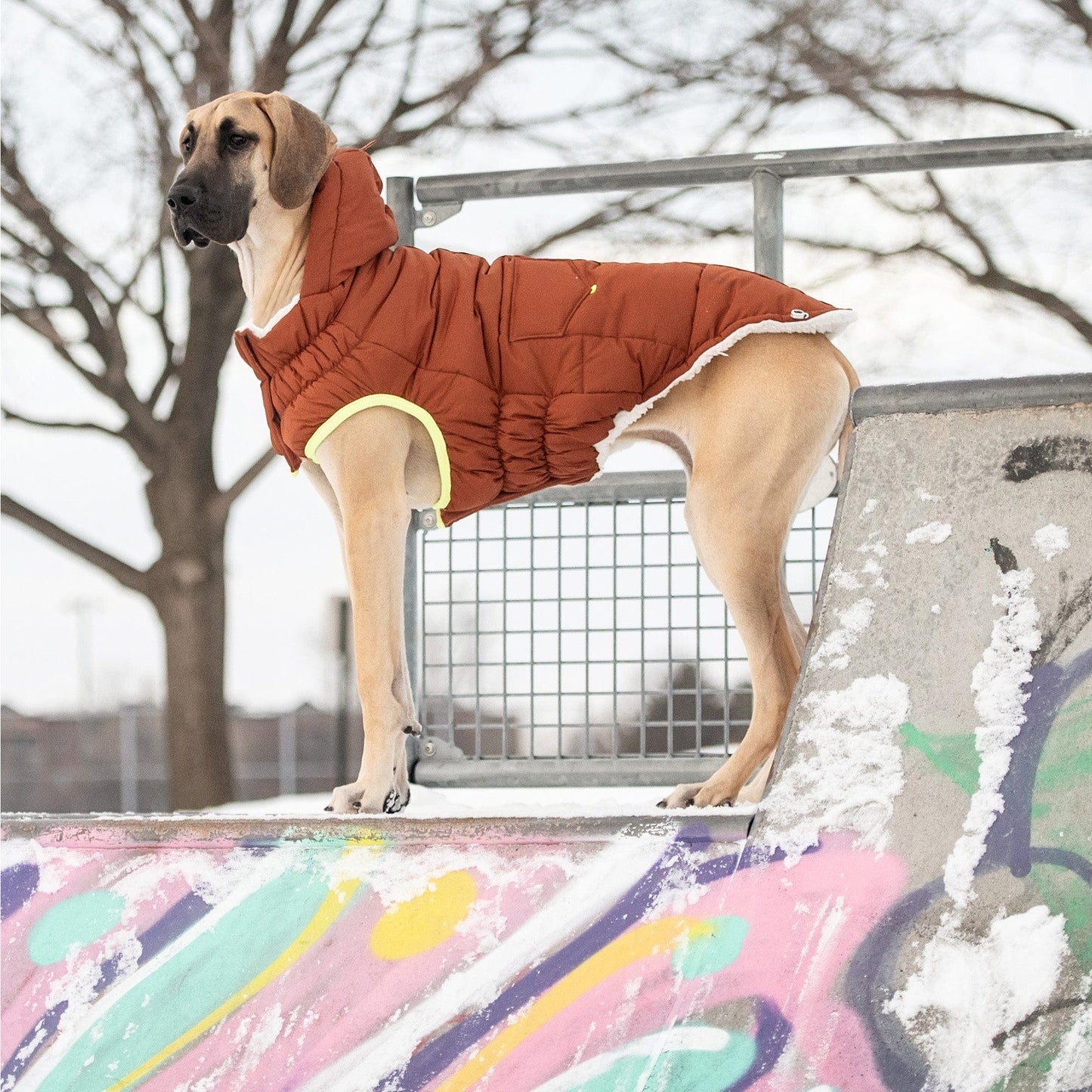 GF Pet - Super Puff Parka - Hazel