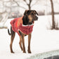 GF Pet - Retro Puffer - Dark Red