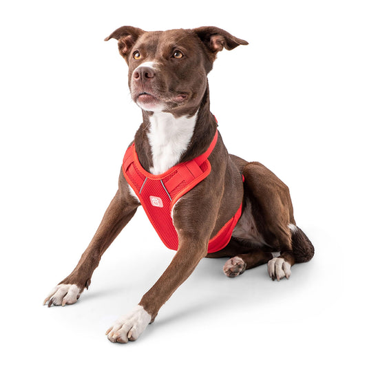 GF Pet - Travel Harness - Red