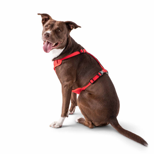 GF Pet - Travel Harness - Red