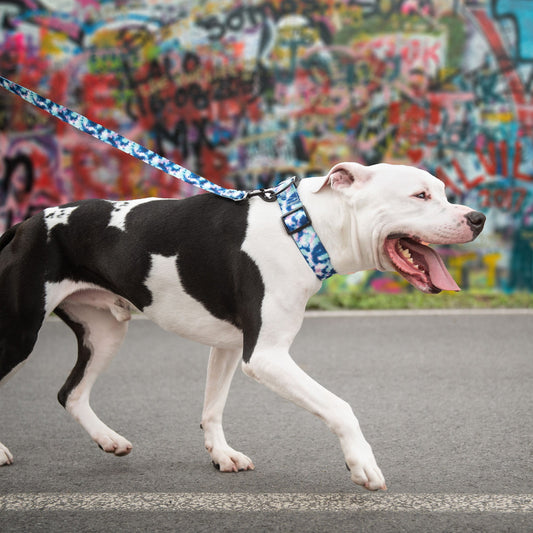 GF Pet - Printed Collar - Tie Dye