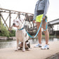 GF Pet - Reflective Collar - Neon Blue