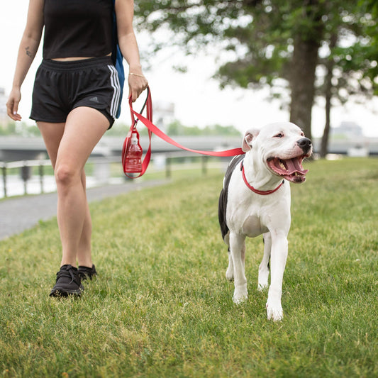 GF Pet - Reflective Leash - Red