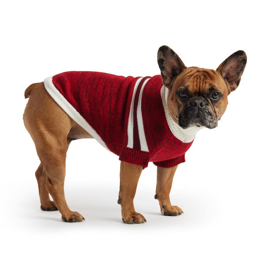 GF Pet - Trekking Sweater - Red
