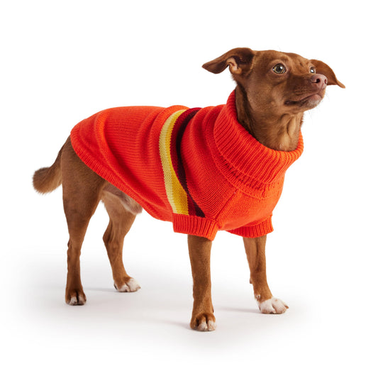 GF Pet - Retro Sweater - Orange